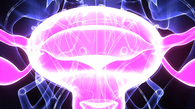 中医妇科都有哪些病,中医的痛经有哪几个证型