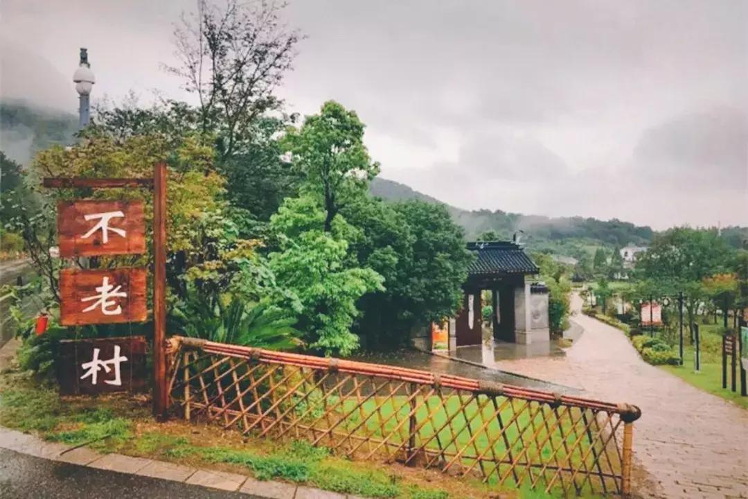 南京不老村，这个画得了插画、种得了花的萌大叔，亲自打造一个家