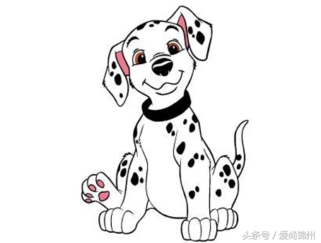 2020年狗犯太岁,狗本命年犯太岁