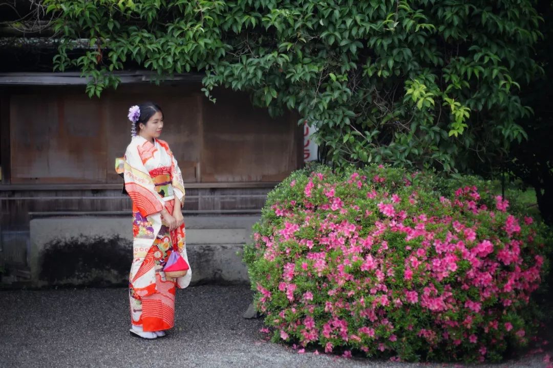 五天四晚适合去哪玩,适合五天四夜清静的旅行