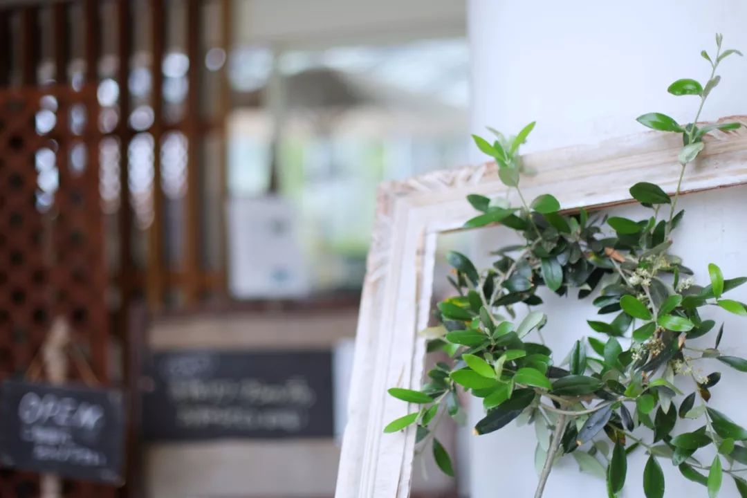 五天四晚适合去哪玩,适合五天四夜清静的旅行