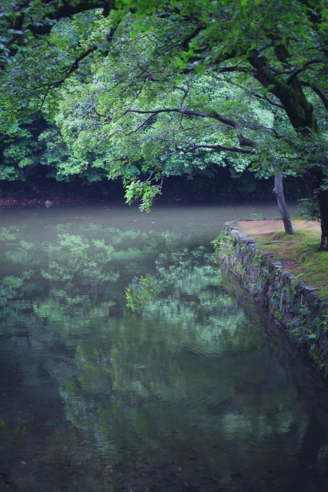日本的这个地方，很少有中国游客，超级文艺治愈系！
