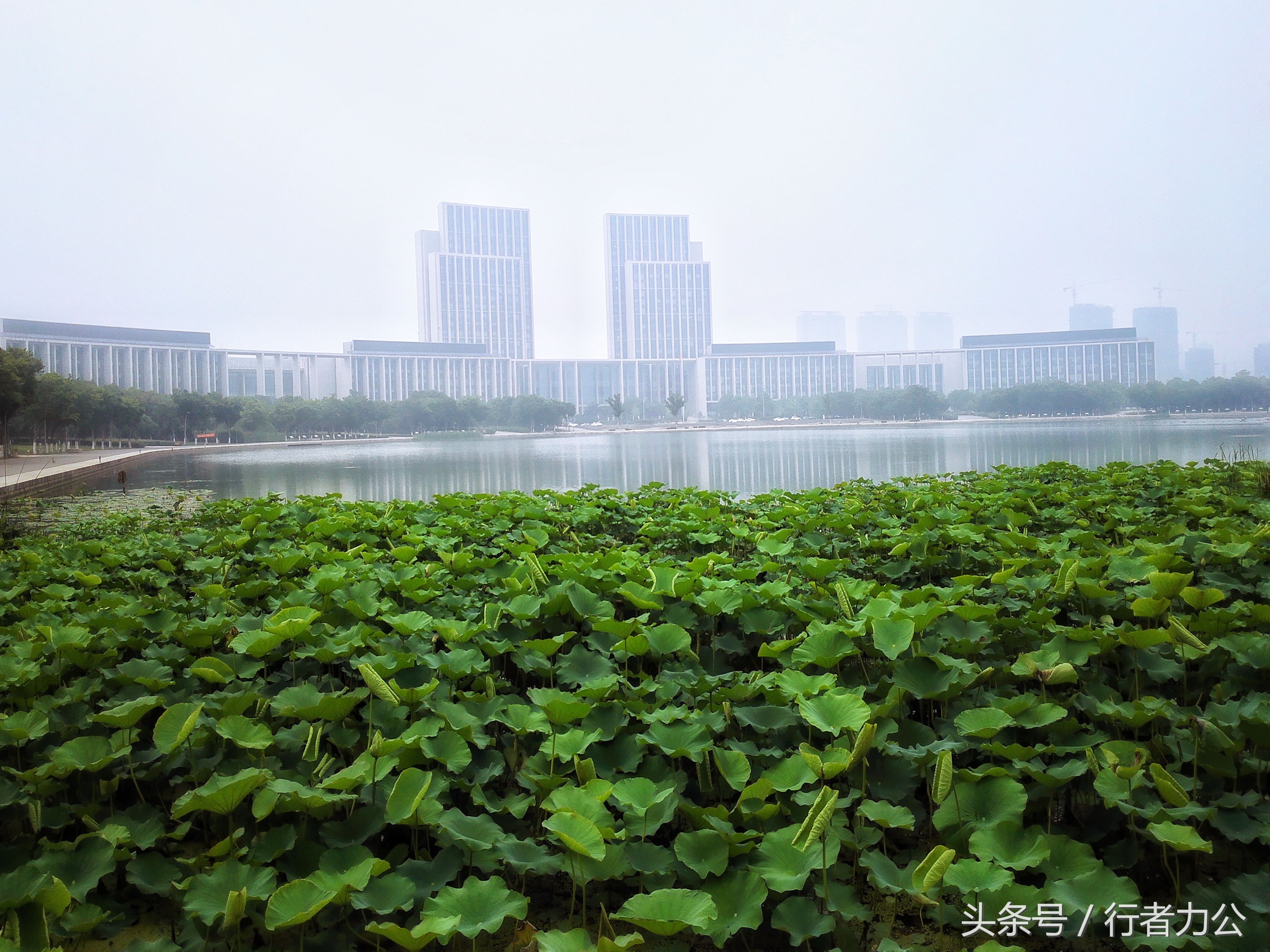 尚贤河湿地公园攻略,尚贤河湿地景点