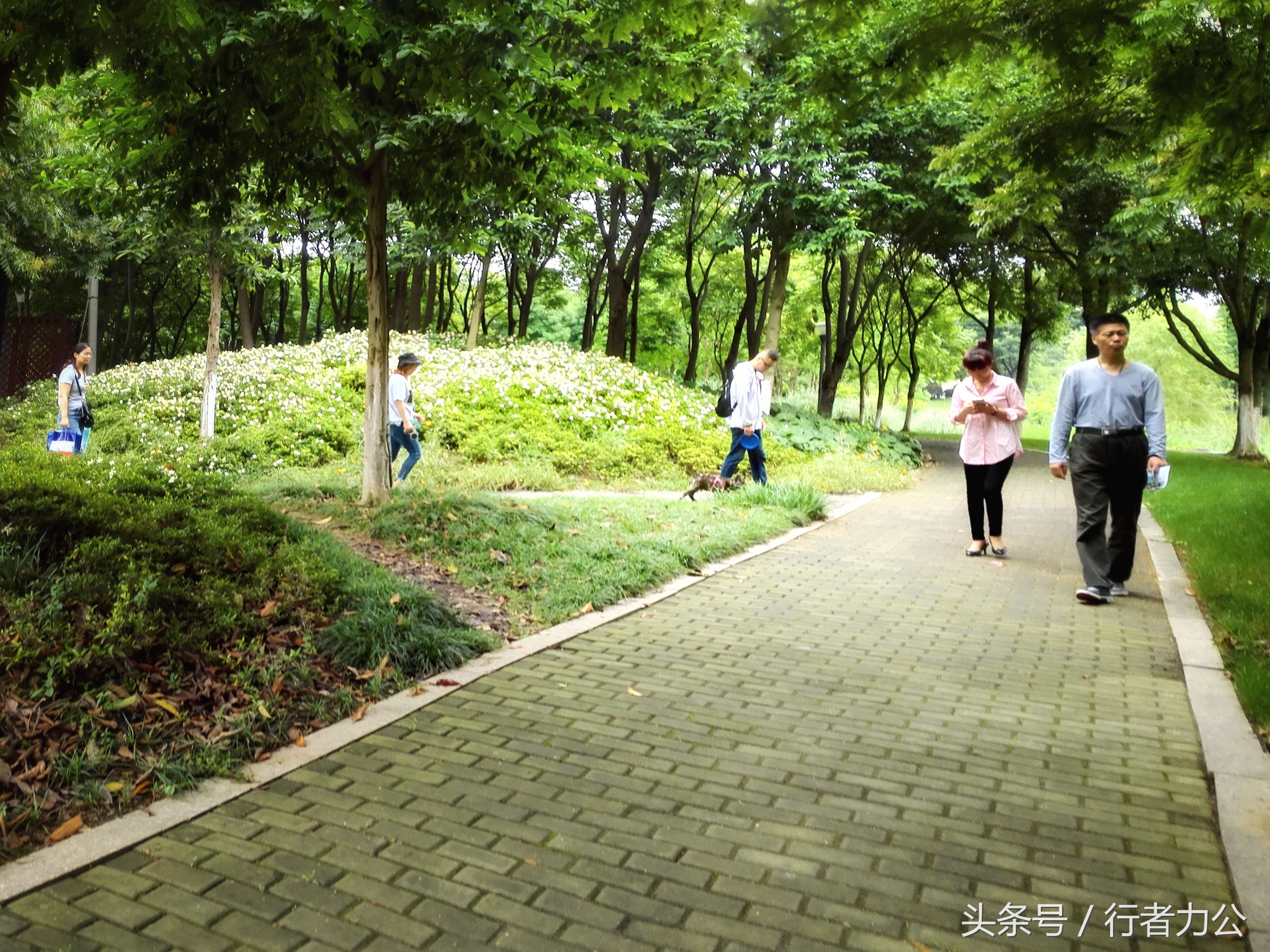 尚贤河湿地公园攻略,尚贤河湿地景点