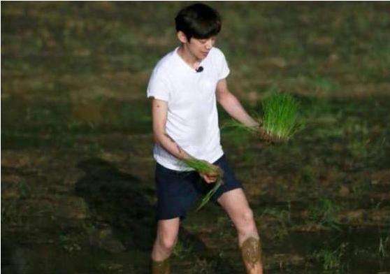 向往的生活节目问题,向往的生活第6季谁被打马赛克了