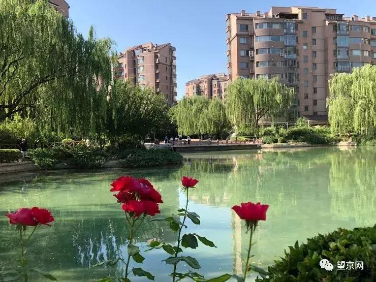 望京环境最好小区排名,望京居住最好的小区