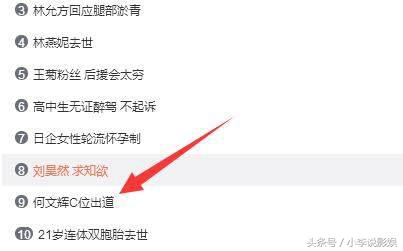 何文辉人物简介,何文辉到底是谁