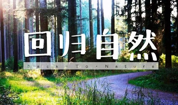 号外号外活动来袭,号外号外活动