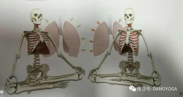 呼吸浅快的处理方法,呼吸太短太浅正确呼吸方式