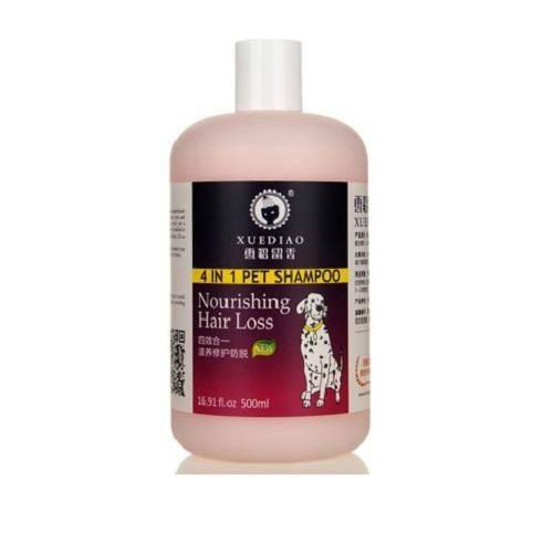 柴柴一岁的成长记录,柴柴性格怎么样