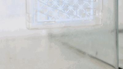 日本蚊帐最新款,日本家庭隐形蚊帐