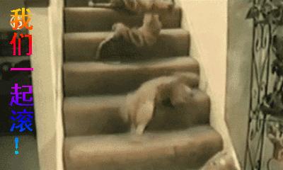 你给我滚出来表情包搞笑图片,给我滚表情图