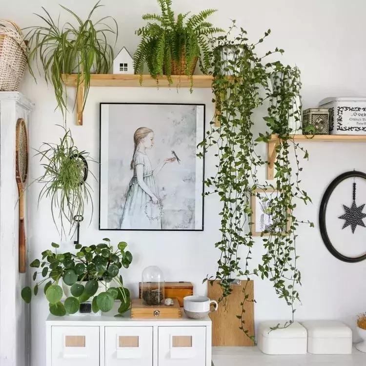 宅在家也能有健康的生活方式,夏日宅家的一百种方式