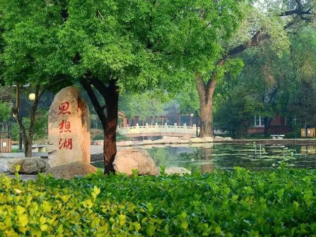 萌新攻略选修课,萌新攻略实用