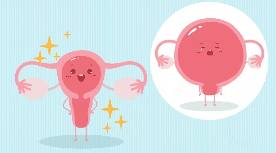 自测子宫恢复的方法,小姐姐修复腹直肌