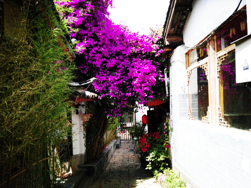 丽江到底美不美,丽江到底有几个古镇