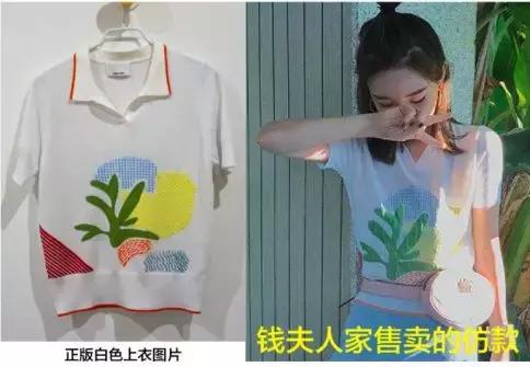 雪梨抄袭,网红雪梨抄袭事件