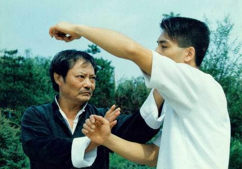 中国近代武林高手大师们,历史上的十大武林高手