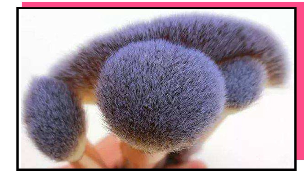 不剁手,不剁手不吃土让国产化妆刷告诉你