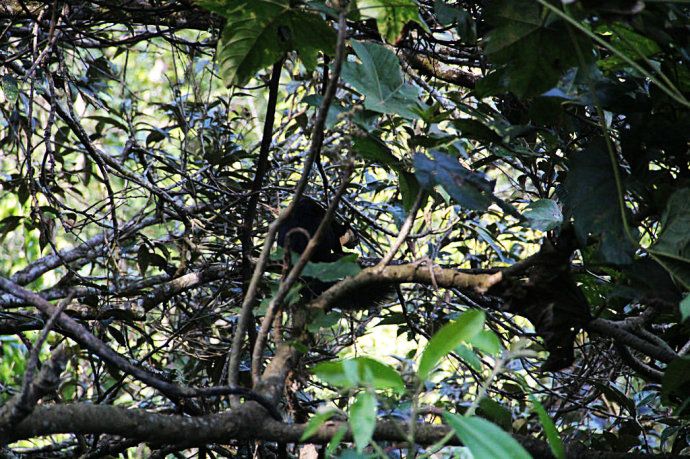 最美樱花温泉,樱花谷泡温泉价目表