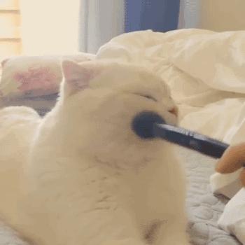 种草神器30秒,种草护肤美妆好物推荐