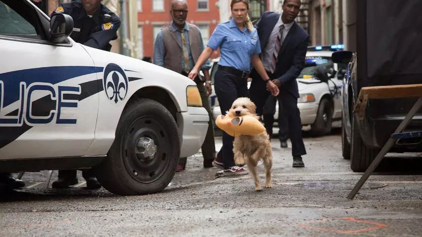 敲可爱的头衔,敲可爱头衔