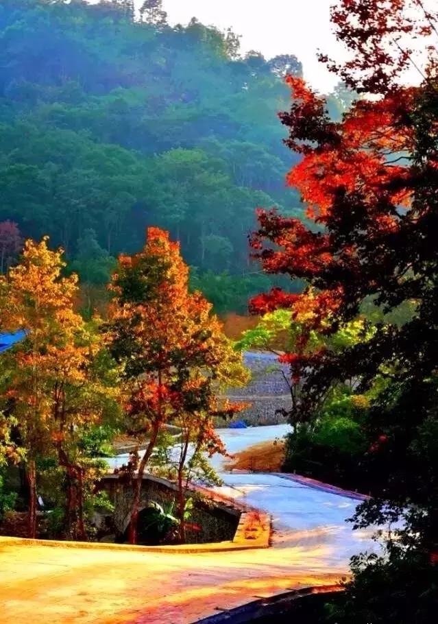 惠州小镇旅游景点推荐,惠州旅游景点小镇推荐