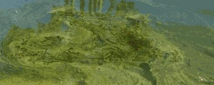 洗衣粉里的磷怎么清洗,洗衣粉污渍用什么去除