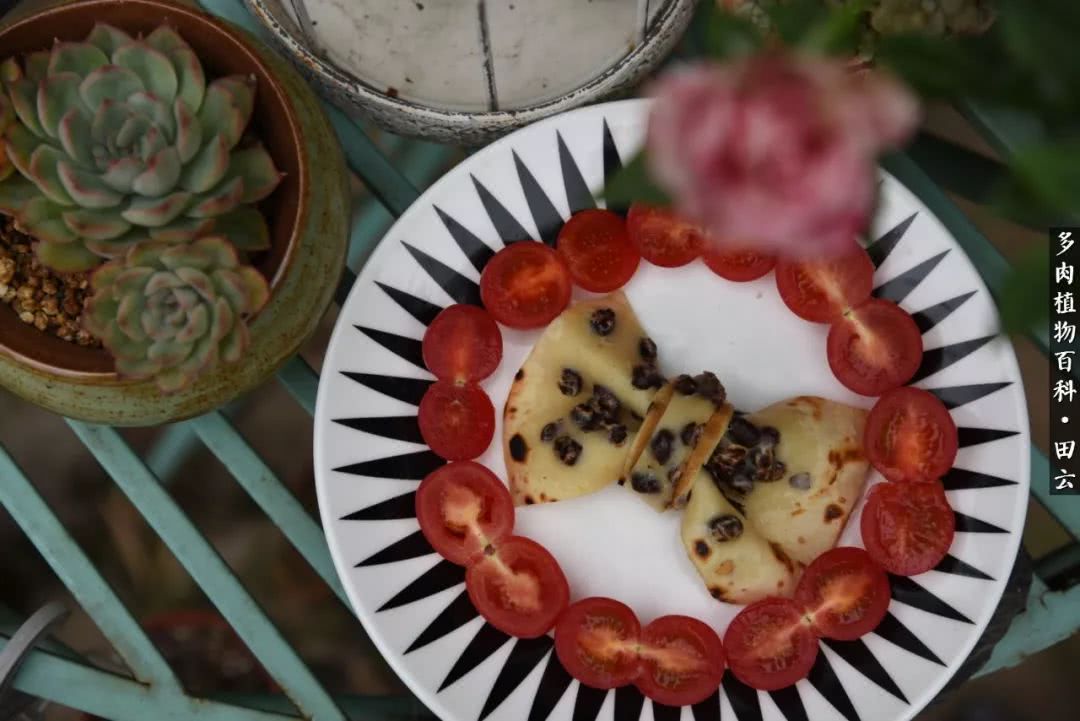 推开世界的门和自己和解,推开世界的门你所看到的风景