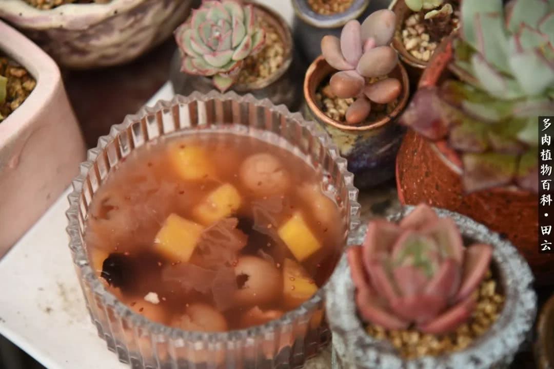 推开世界的门和自己和解,推开世界的门你所看到的风景