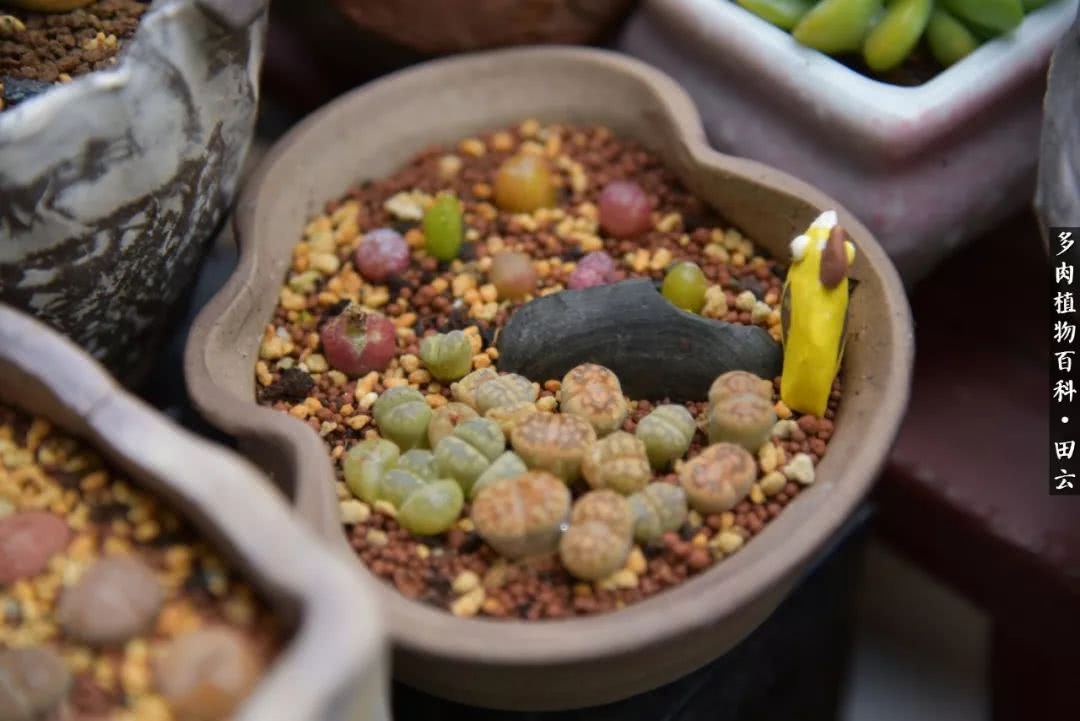 推开世界的门和自己和解,推开世界的门你所看到的风景