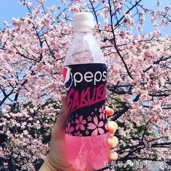 赏樱花的季节赏美人,赏樱的烂漫时节