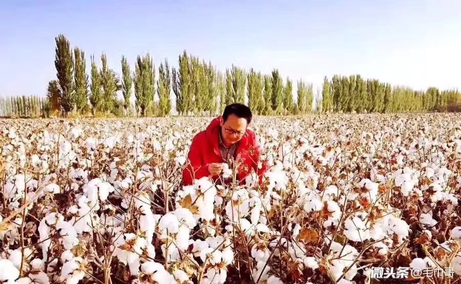 坚持“从1000到1”价值观，与网易丁磊硬刚，死磕产品的毛巾哥后来怎样了？