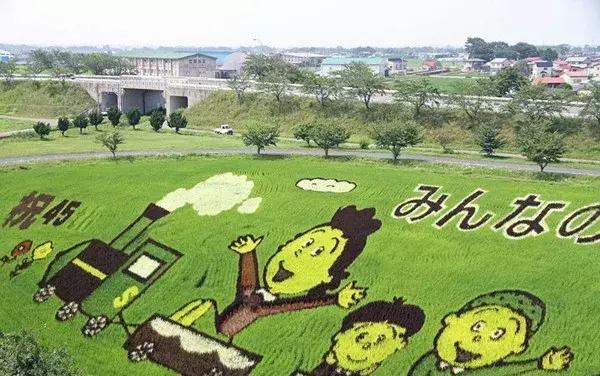 柿子产业带动脱贫,柿子做成柿饼销售利润怎么样