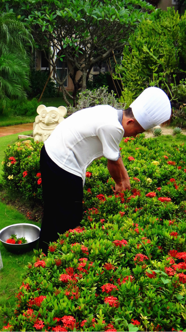 亚龙湾休闲度假康养旅游,亚龙湾老人休闲度假
