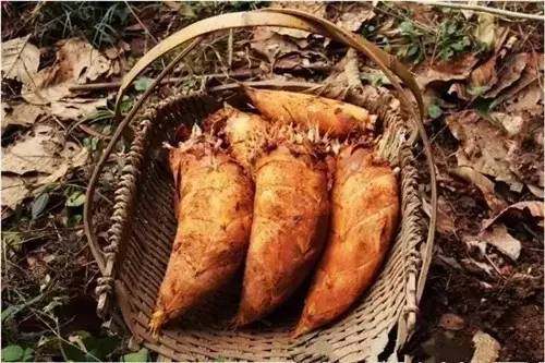 四川山里的各种野菜,四川的野菜根本吃不完你认识几种