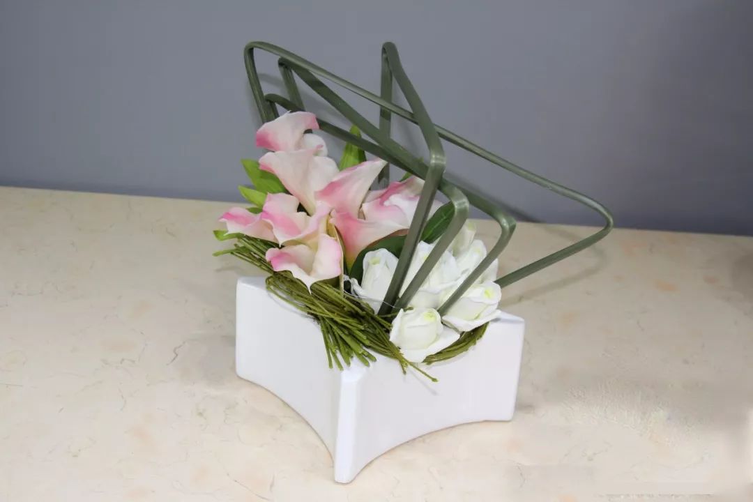 珍稀马蹄莲,如何让马蹄莲一年四季都活着