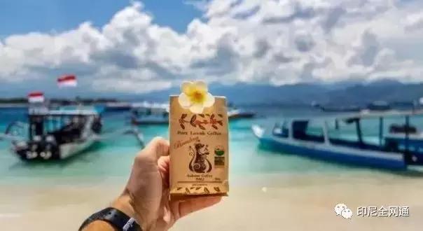 去印尼可以带什么吃的,在印尼买什么特产带回国最便宜