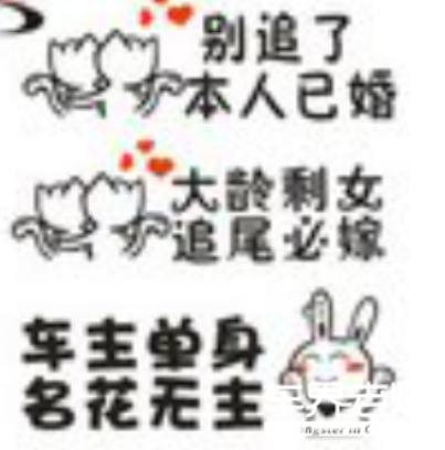 奇葩贴车上的标语,盘点路上遇到的搞笑车贴