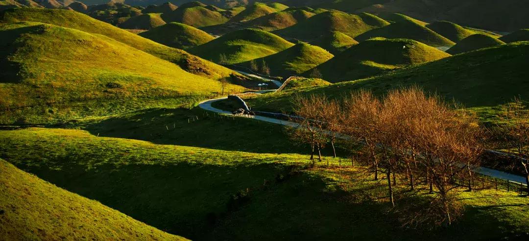 邵阳换新名片了！快传递出去~为你带来更多的人脉、财脉！