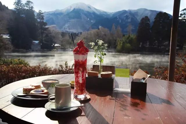 日本发现的大宝藏,日本挖出大宝藏