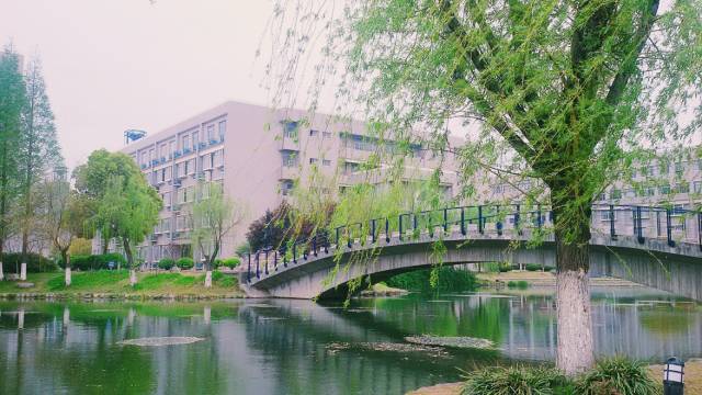 高考毕业季结束了吗,毕业季高考最后一课不可不知