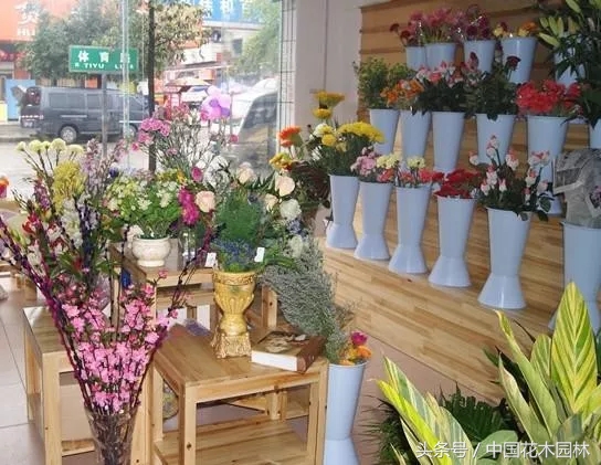 东阳开花店进货渠道,想开花店去哪里进货渠道