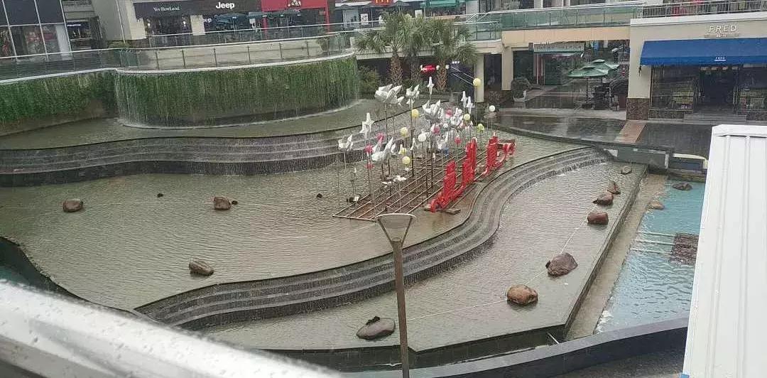 揭秘专柜代购,揭秘代购奢侈品