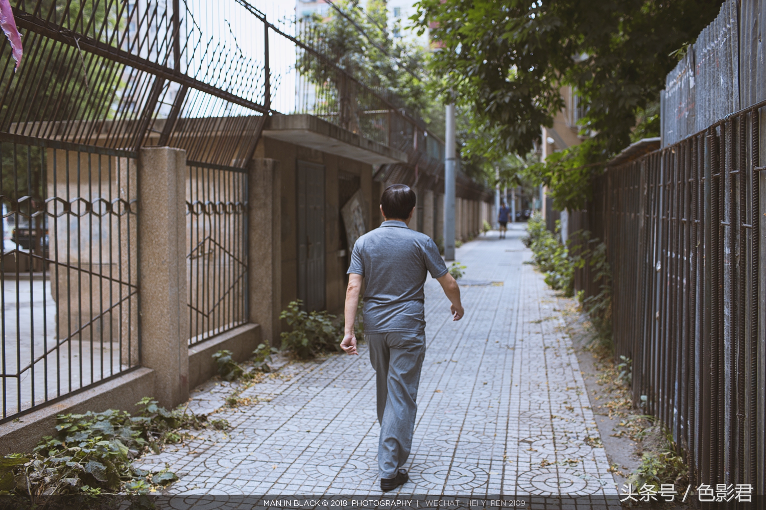 佳能24-70f4和24-105f4哪个好,佳能最新款镜头推荐哪款