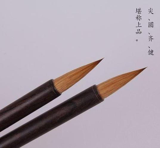 绘画软件零基础教程,零基础学习绘画线条