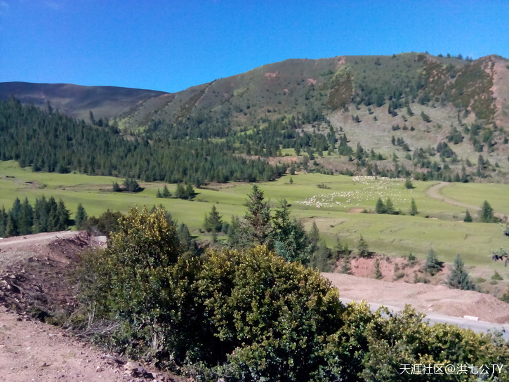 一个人、一只狗、一辆小踏板，风雨30天去*藏西**的故事（四）