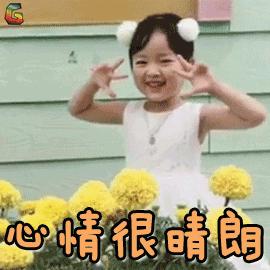 mk杨幂同款包包,mk杨幂同款新年限量款