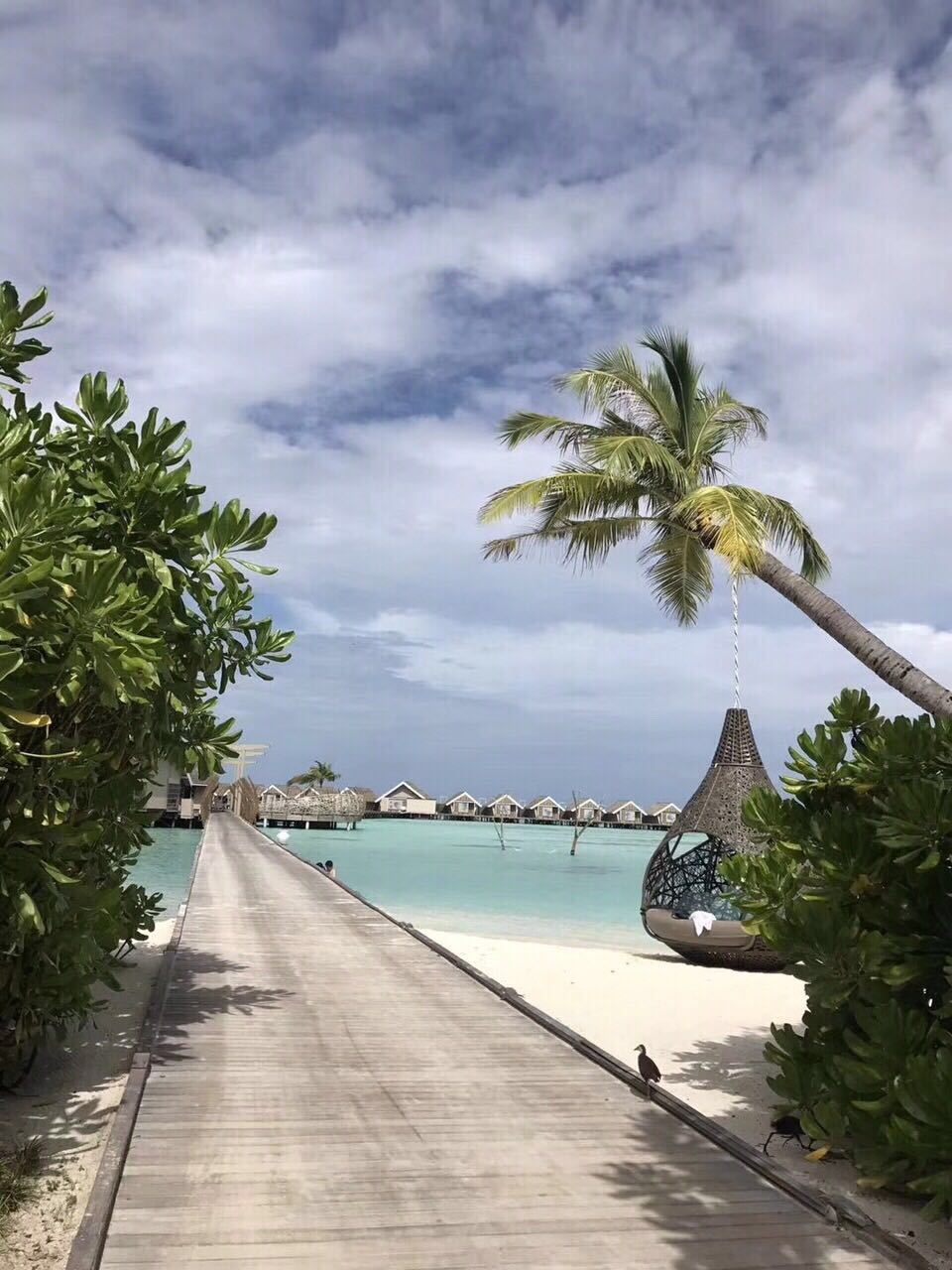 lux岛预售,马尔代夫lux岛和瑞吉岛