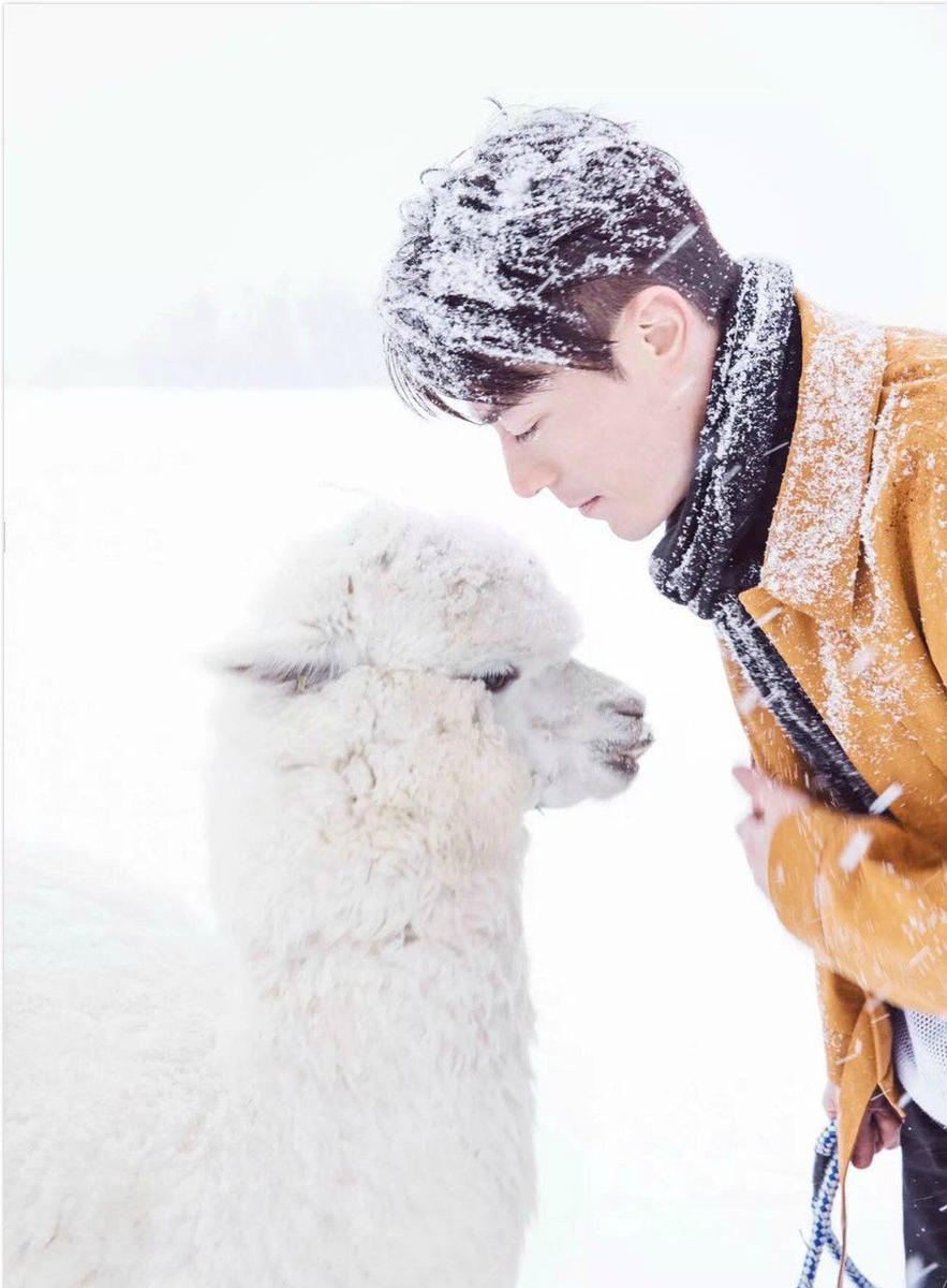 睫毛精的正确训练方法,睫毛精怎么样才能变好看